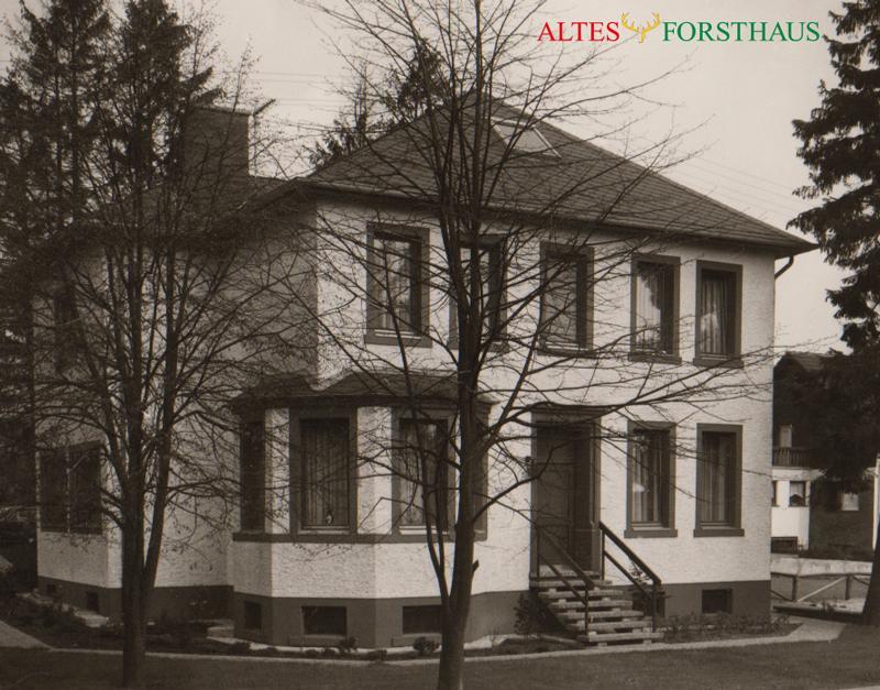 Bed and Breakfast Altes Forsthaus Manderscheid Esterno foto